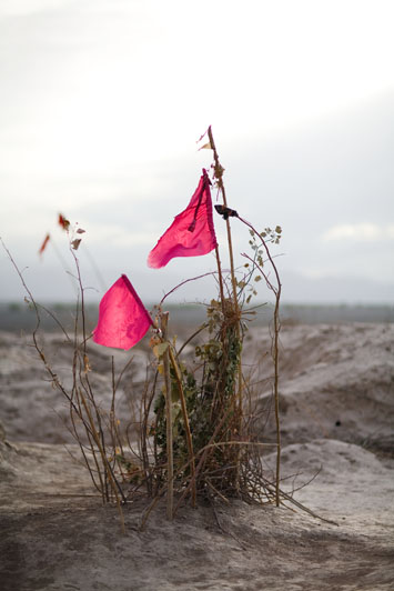 Unrevealed, Site 18 (Remembrance in Red), 2009